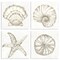 Stupell Industries Neutral Coastal Reef Shells 4pc Wall Plaque Set By Yvette St. Amant